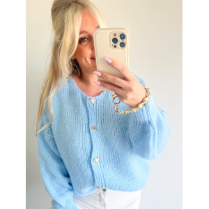 3426 Vest Merel Lichtblauw