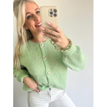 3427 Vest Merel Groen