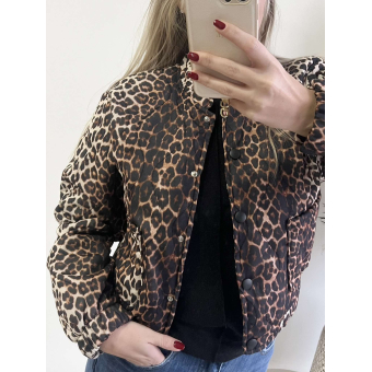 3224 Jasje Leo Leopard