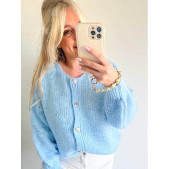 3426 Vest Merel Lichtblauw